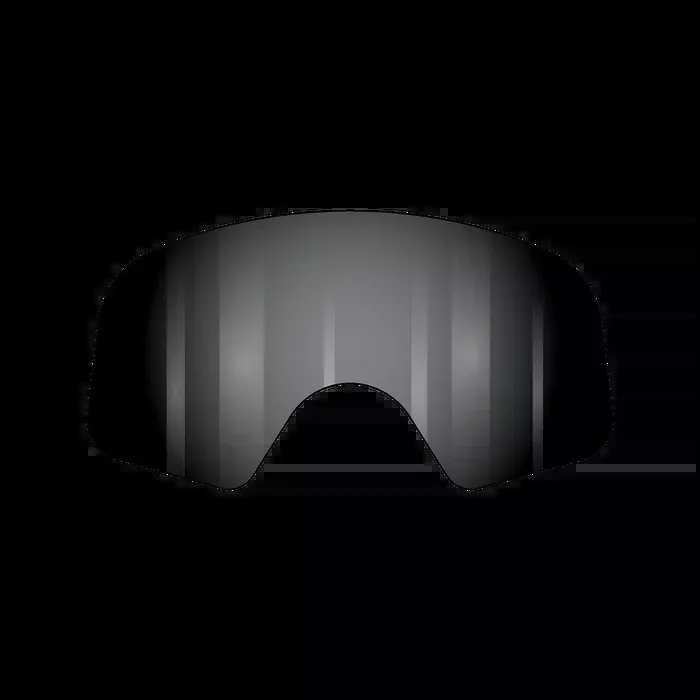 Fasthouse VonZipper Beefy Spare Lexan Goggle Lens - Smoke