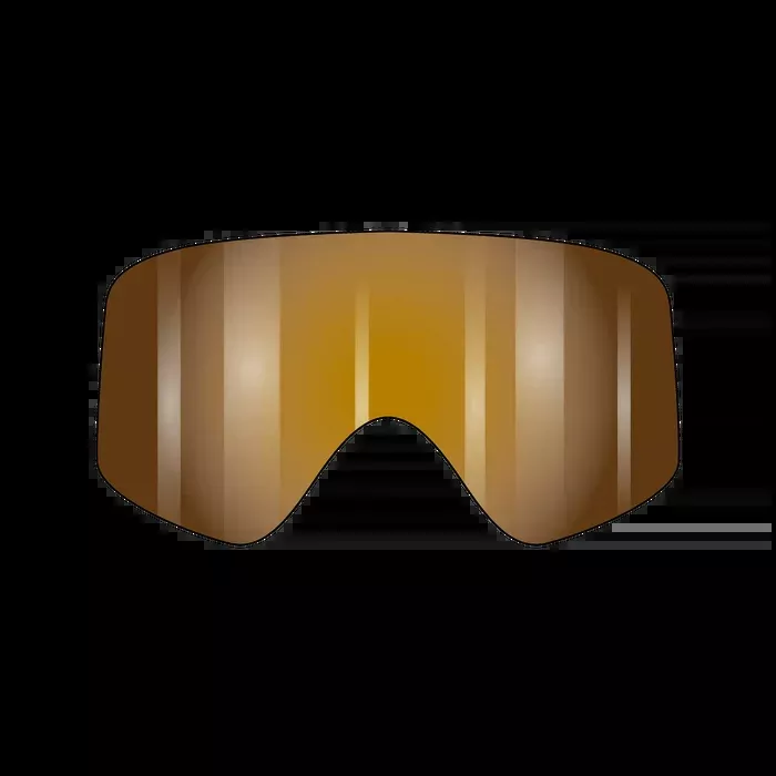 Fasthouse VonZipper Porkchop Spare Injected Goggle Lens - Amber Flash Chrome