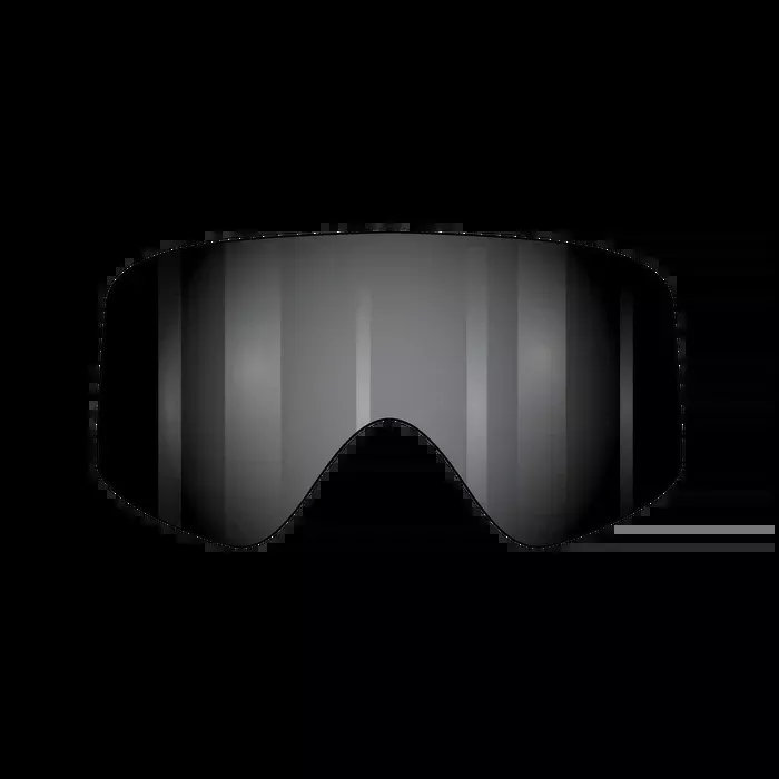 Fasthouse VonZipper Porkchop Spare Injected Goggle Lens - Smoke